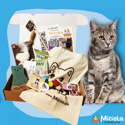 Miciola Box n.2