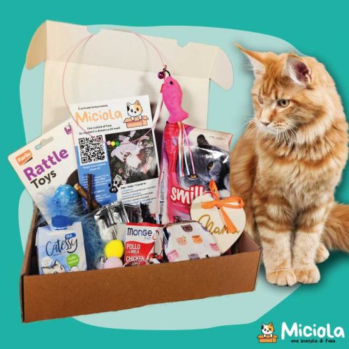 Miciola Box n.5