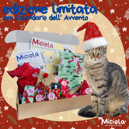 Miciola Box "Arriva il Natale!" edizione limitata