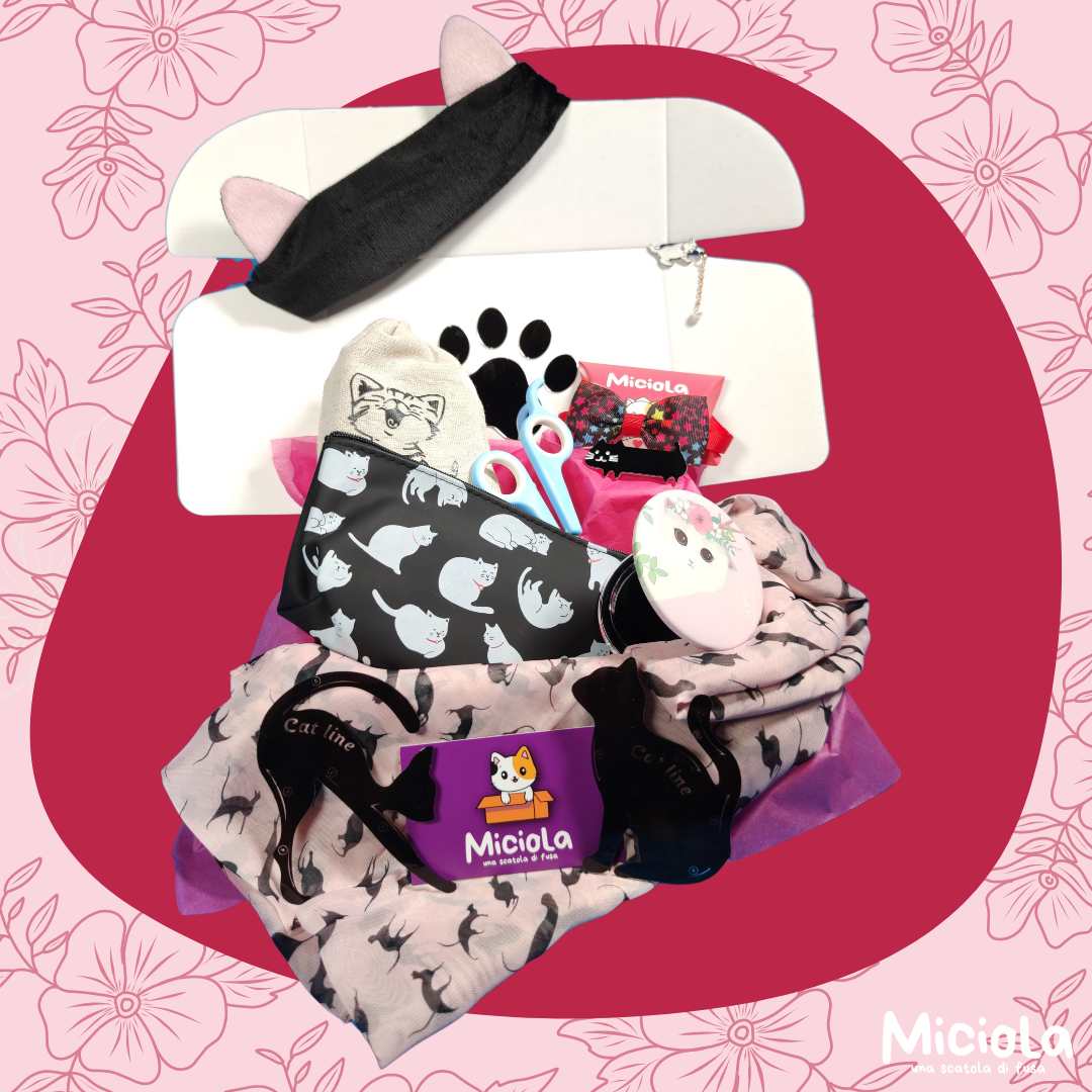 Cofanetto Cat Lady