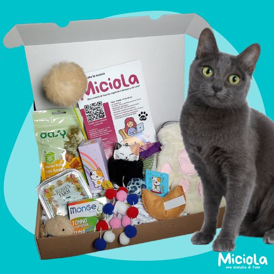 Miciola Winter Box