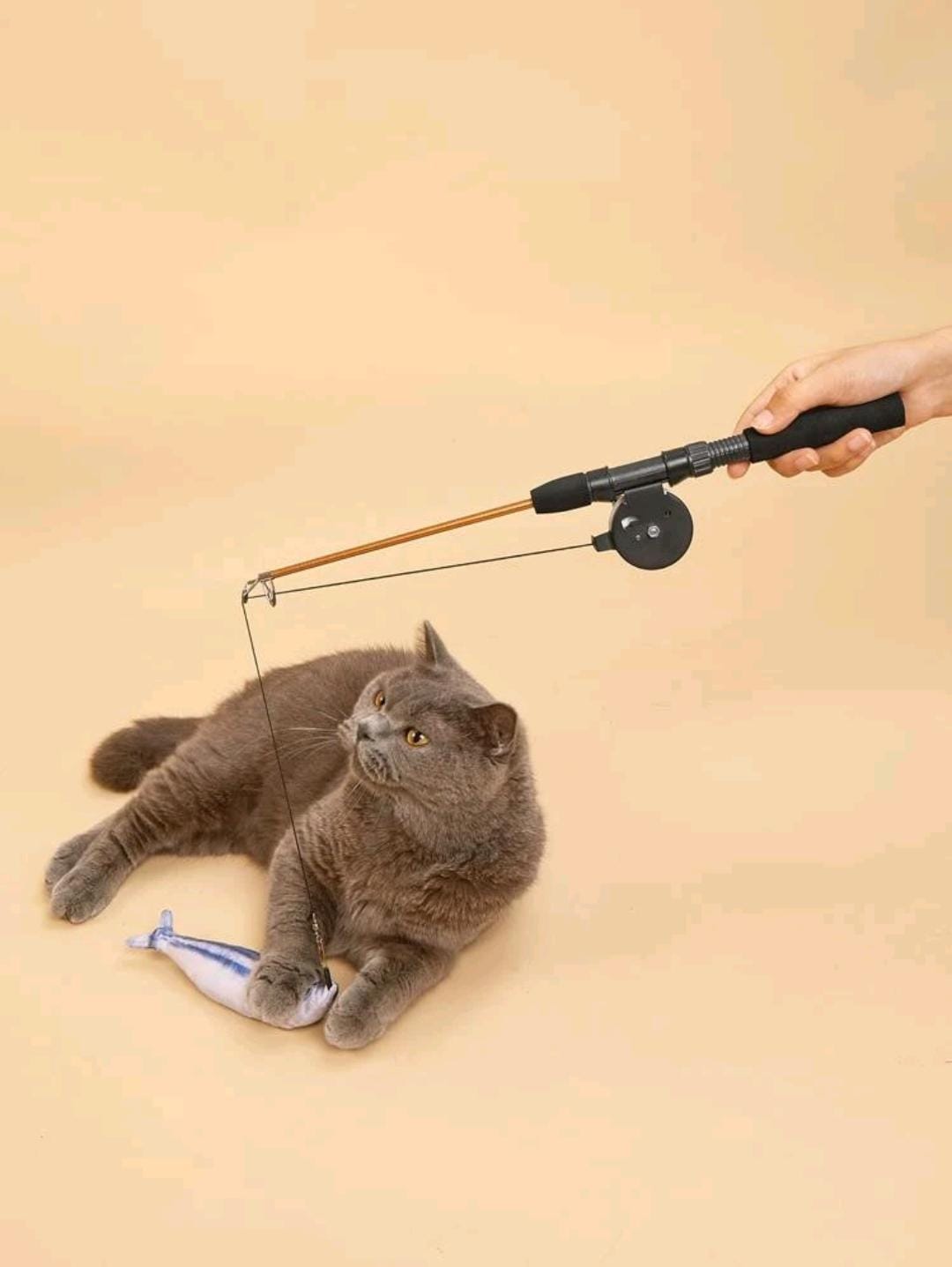 Cannetta telescopica con pesce