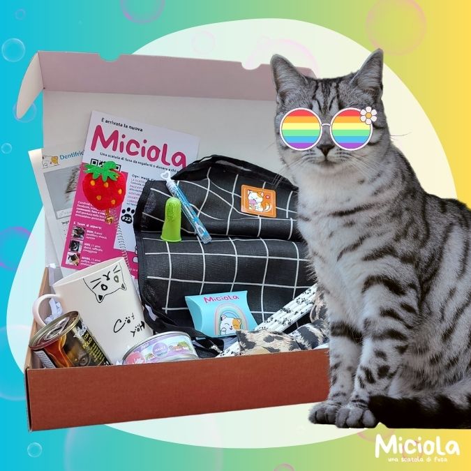Miciola Box n.22
