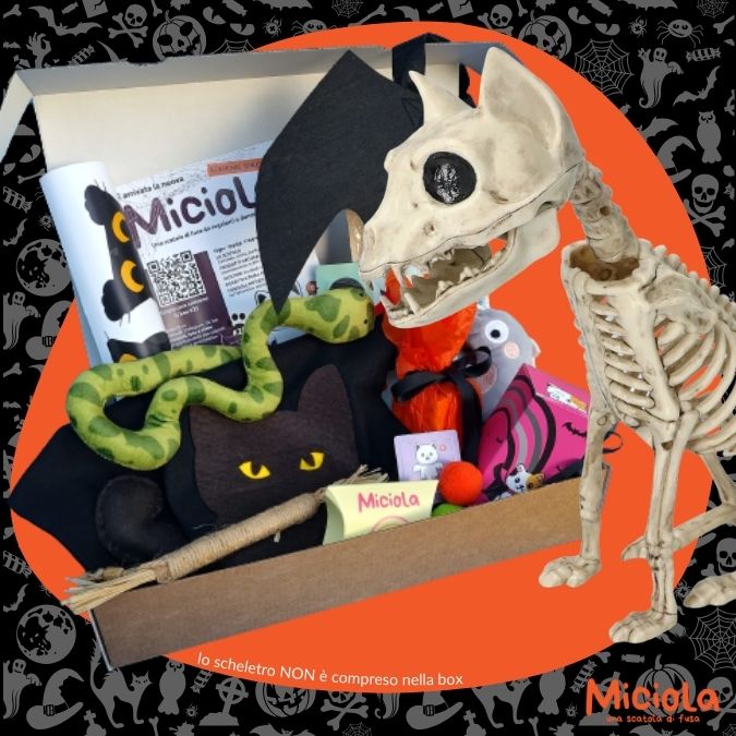 Halloween Box - edizione limitata!
