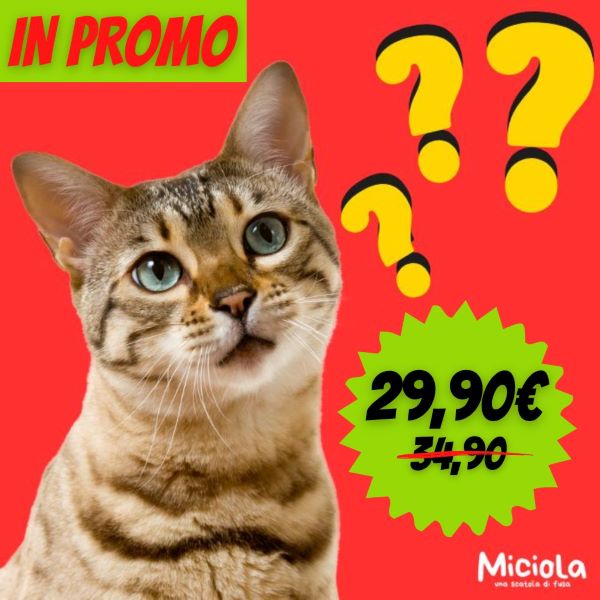 COPERTINE BOX (Cartolina) (Post Instagram (Quadrato)) (1)