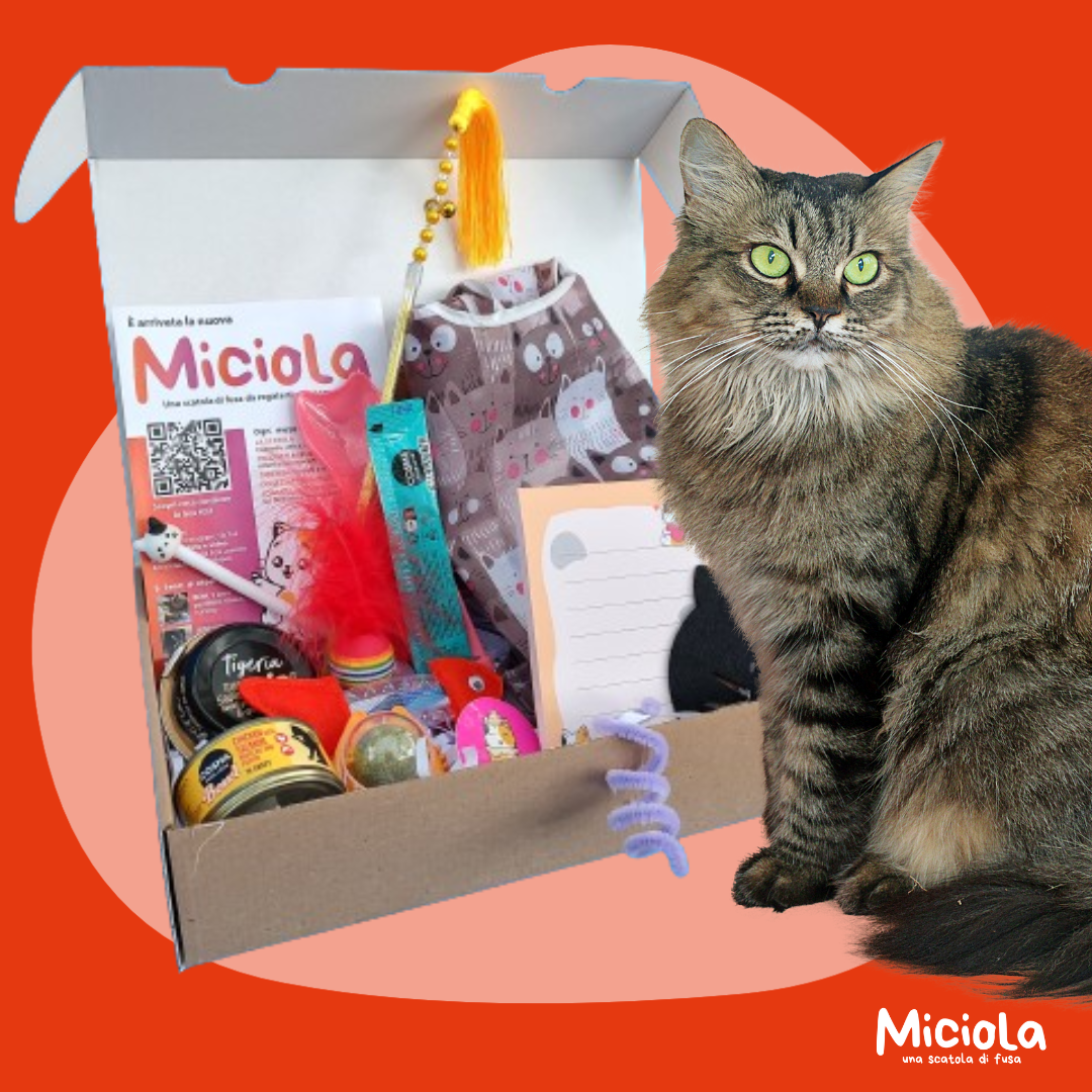 Miciola Box n.32