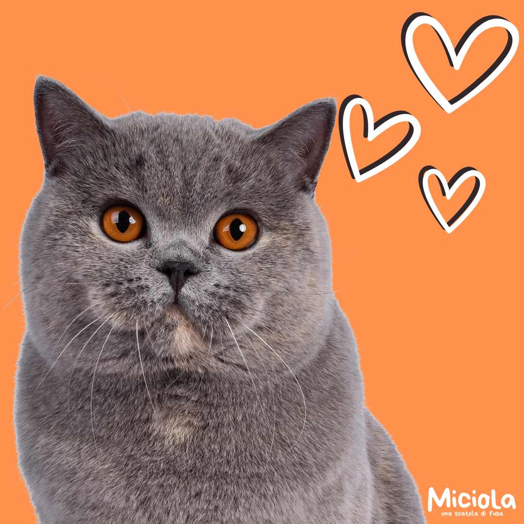 Progetto senza titolo (3)