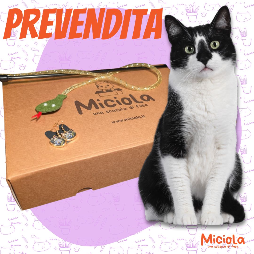 COPERTINE BOX (Post Instagram) (25)